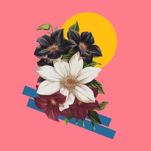 REINVENTION I [QUADRADO]