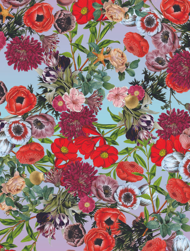 FLOWER EXPLOSION