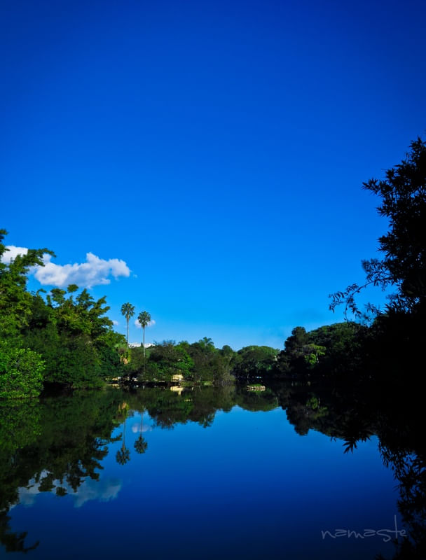 PARQUE FARROUPILHA EM PORTO ALEGRE
