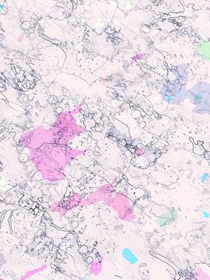 ABSTRACT IV. 2