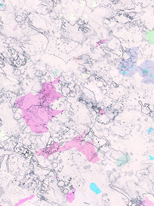 ABSTRACT IV. 2