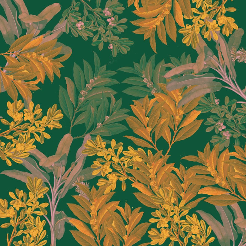 GOLDEN LEAVES 001