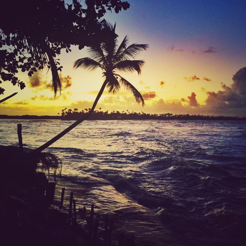 POR DO SOL EM BOIPEBA