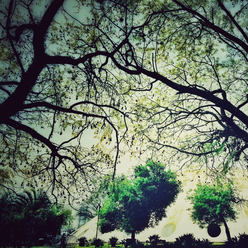 OCA ENTRE VERDES