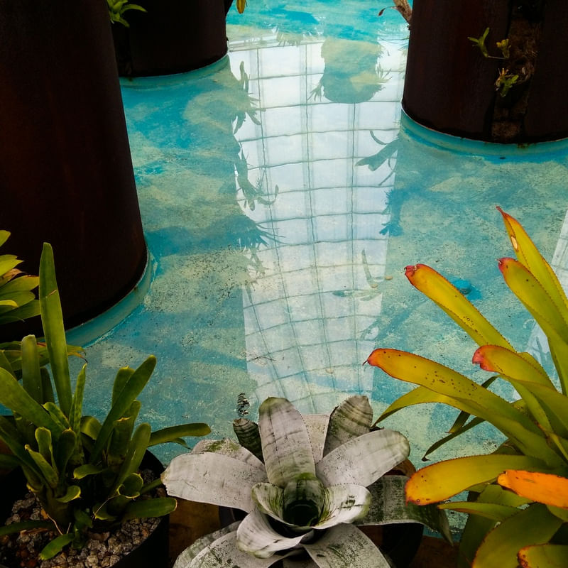 FLORQUIDÁRIO