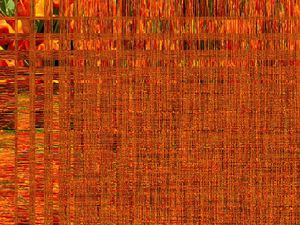 TULIPASABSTRATAS