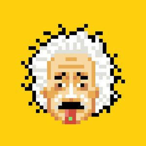 CRAZY EINSTEIN PIXEL