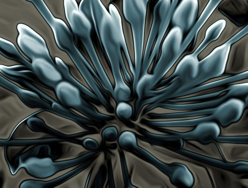 FLOR DO DIA LINDO