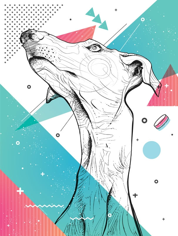 GALGO