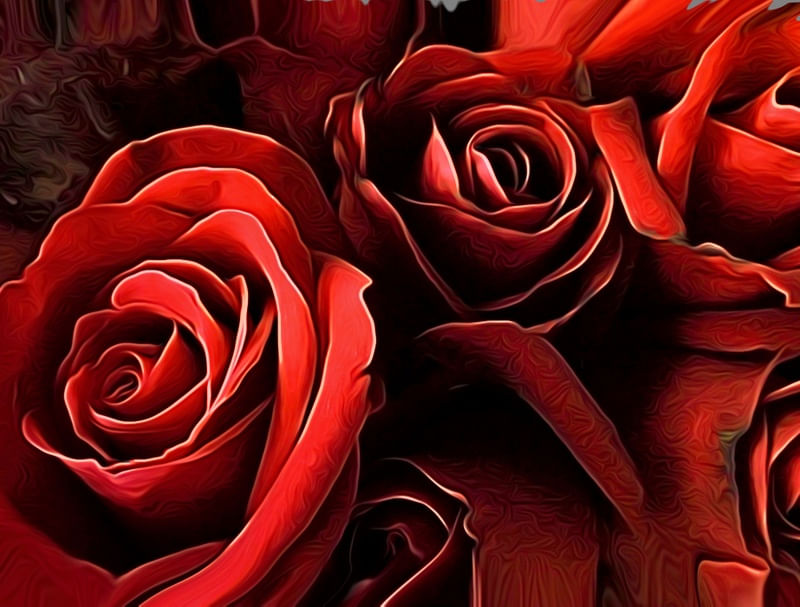 ROSES ARE RED,