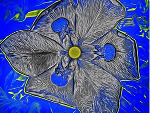 FLOR SURREAL