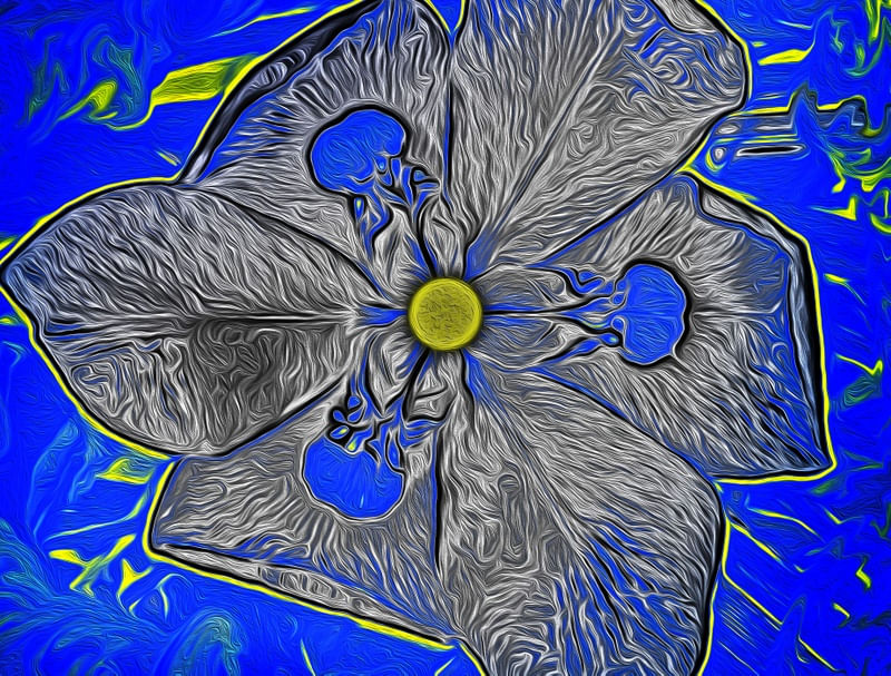 FLOR SURREAL