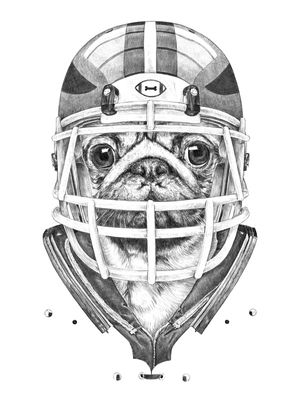 AMERICAN PUG FOOTBALL