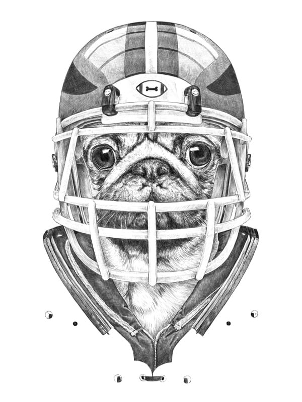 AMERICAN PUG FOOTBALL