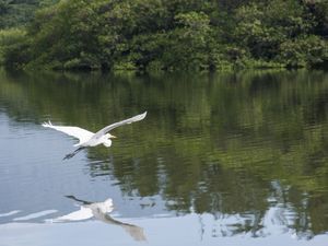 NO CANAL DE MARAPENDI