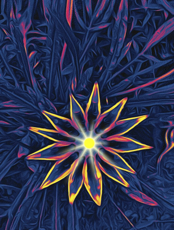 FLOR DO FUTURO