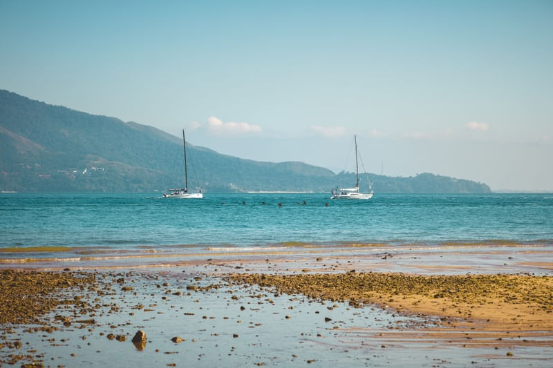 BARCOS E PÁSSAROS