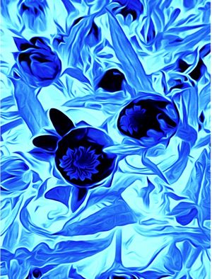 FLOR LINDONÉIA BLUE