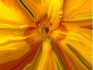 FLOR AMARRELA