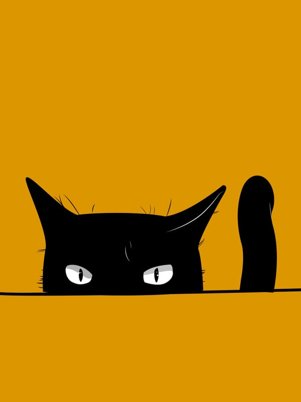 BULLY BLACK CAT