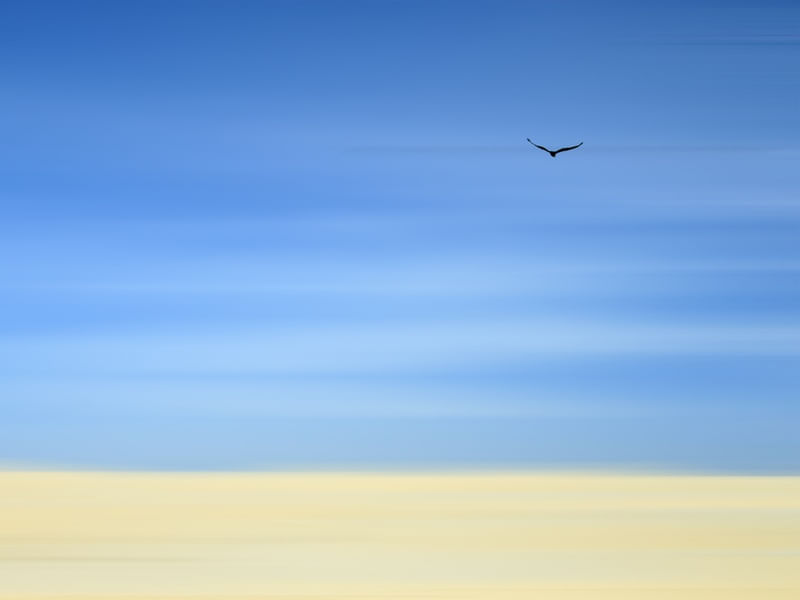 MINIMALISMO 01 DUAYER
