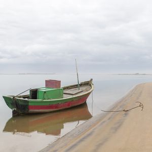 LÁ VEM A LAMA