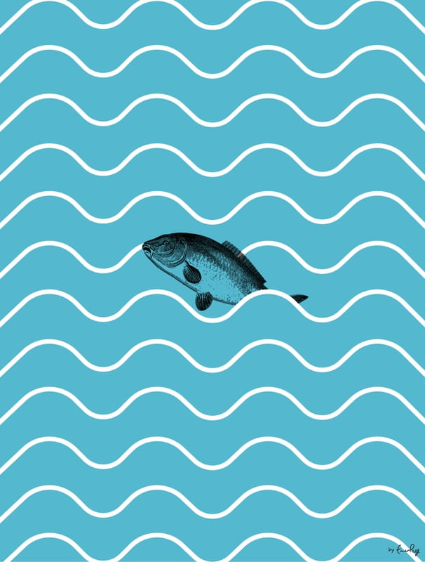 XYLOFISH