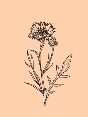 FLOWER MINIMALISTA 7