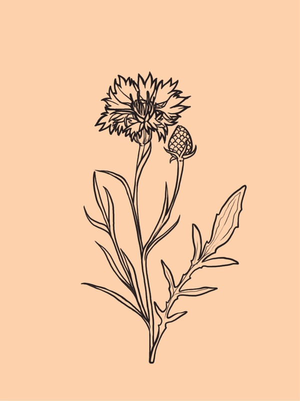FLOWER MINIMALISTA 7
