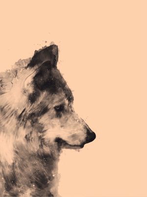 LOBO MIST ESPERANÇA