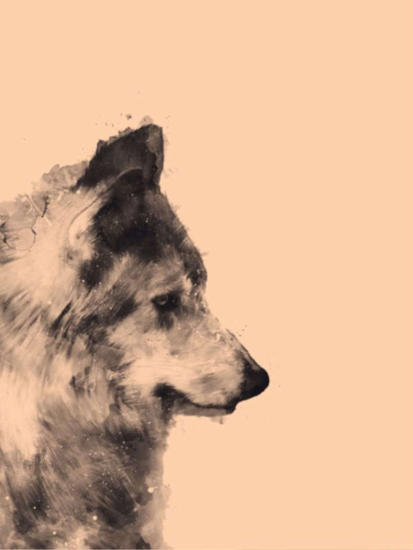LOBO MIST ESPERANÇA