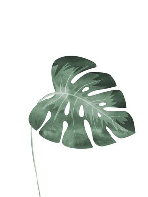 ADÃO MINIMALISTA 3