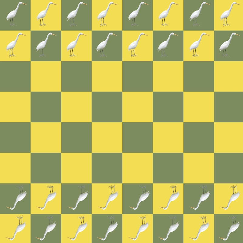 CHESS GARÇAS