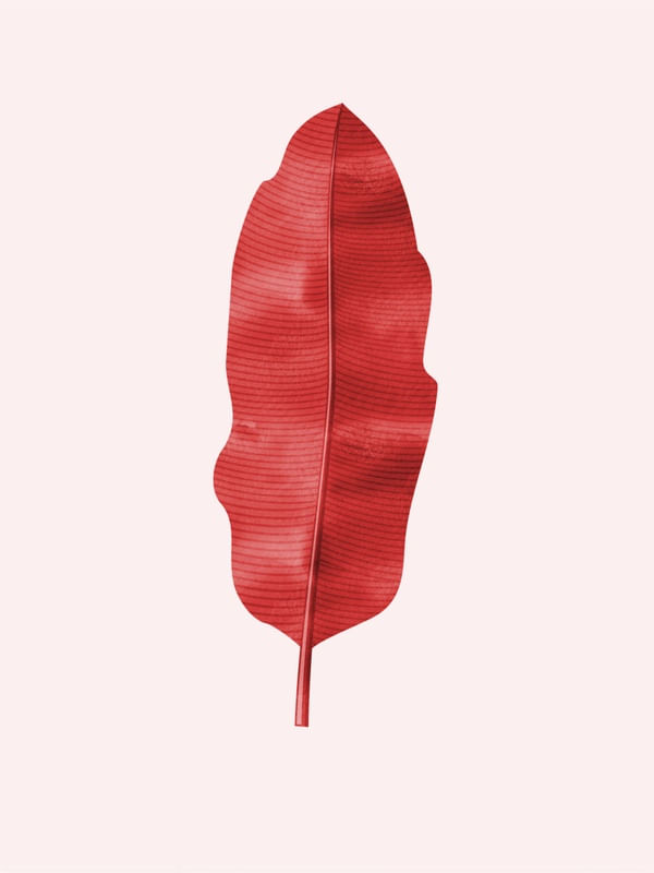 NAT MINIMALISTA