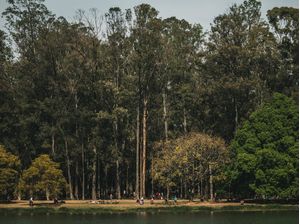 DOMINGO DO IBIRAPUERA
