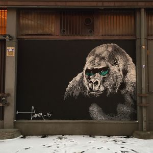 URSO GRAFFITI