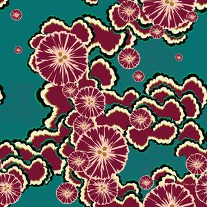 ABSTRACT CLOUDS FLOWERS