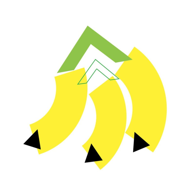 BANANA TROPICAL