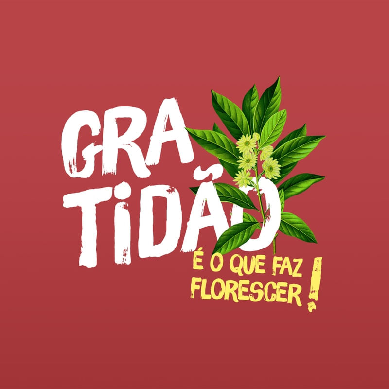 GRATIDÃO É O FAZ FLORESCER!