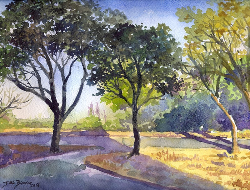 AMANHECER NUMA ESTRADA
