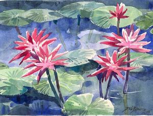 FLOR DE LOTUS NUM LAGO