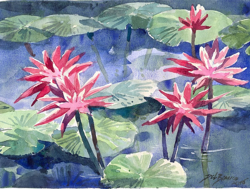 FLOR DE LOTUS NUM LAGO