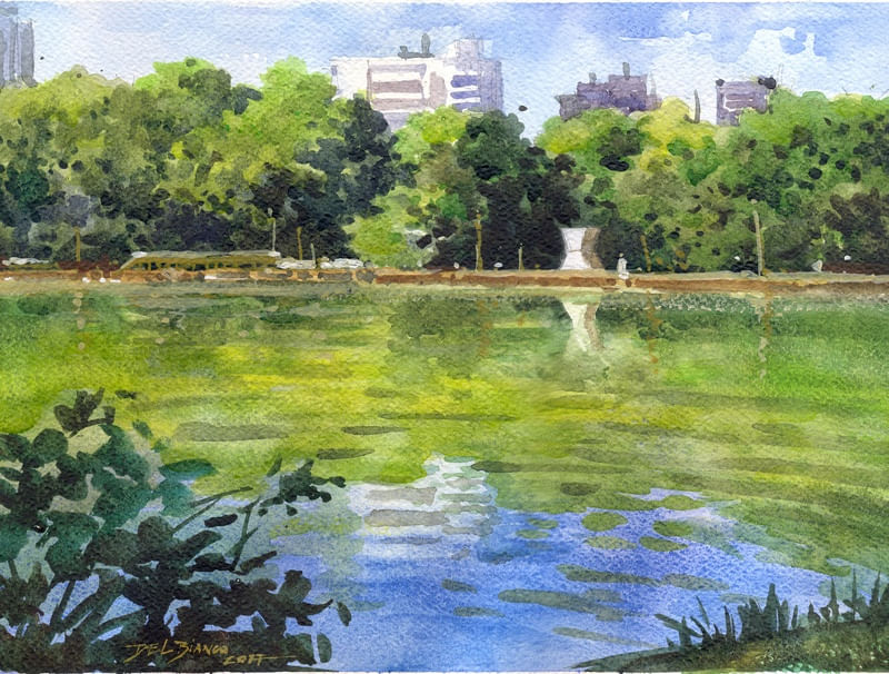 BOSQUE DA CIDADE NUM DIA DE SOL