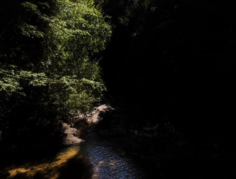 ÁGUA DE OURO