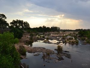 KRUGER PARK 02