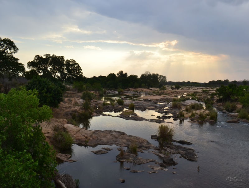 KRUGER PARK 02