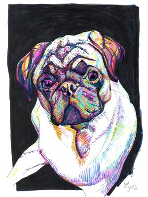 OH MY PUG!