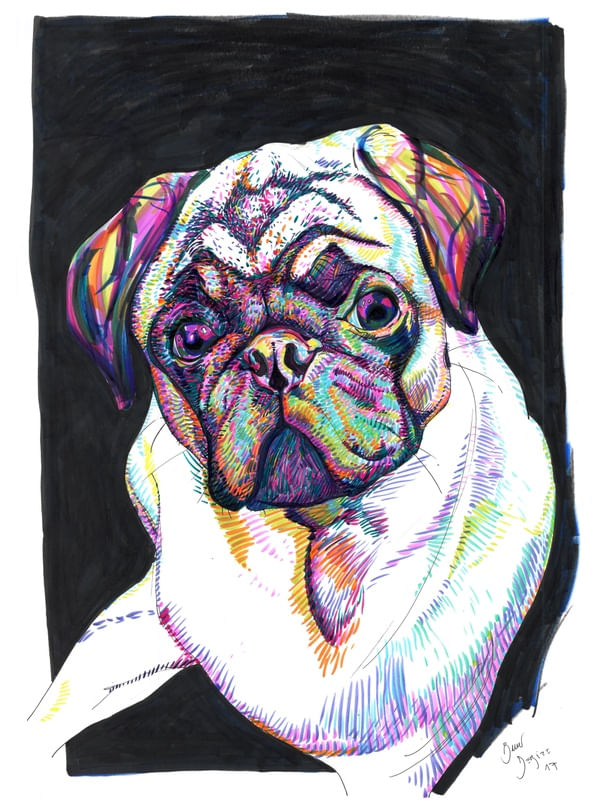 OH MY PUG!