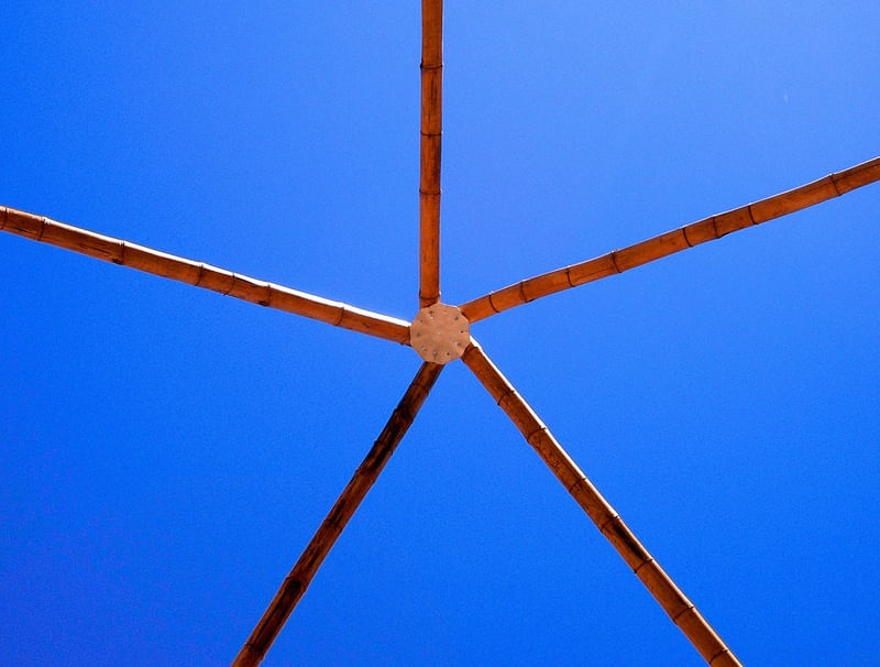 ESTRELA DO CERRADO