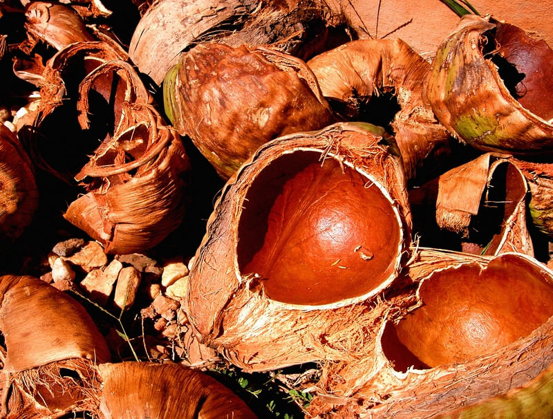 COCOS